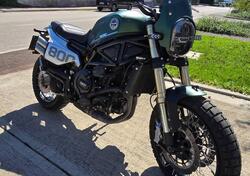 Benelli Leoncino 800 Trail (2022 - 25) usata