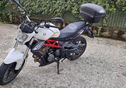 Benelli BN 302 (2017 - 19) usata