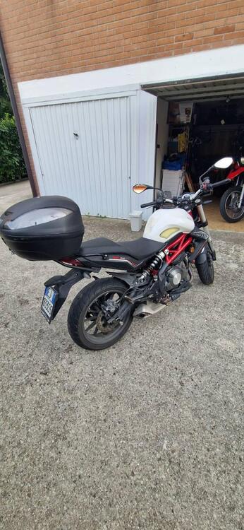 Benelli BN 302 (2017 - 19) (2)