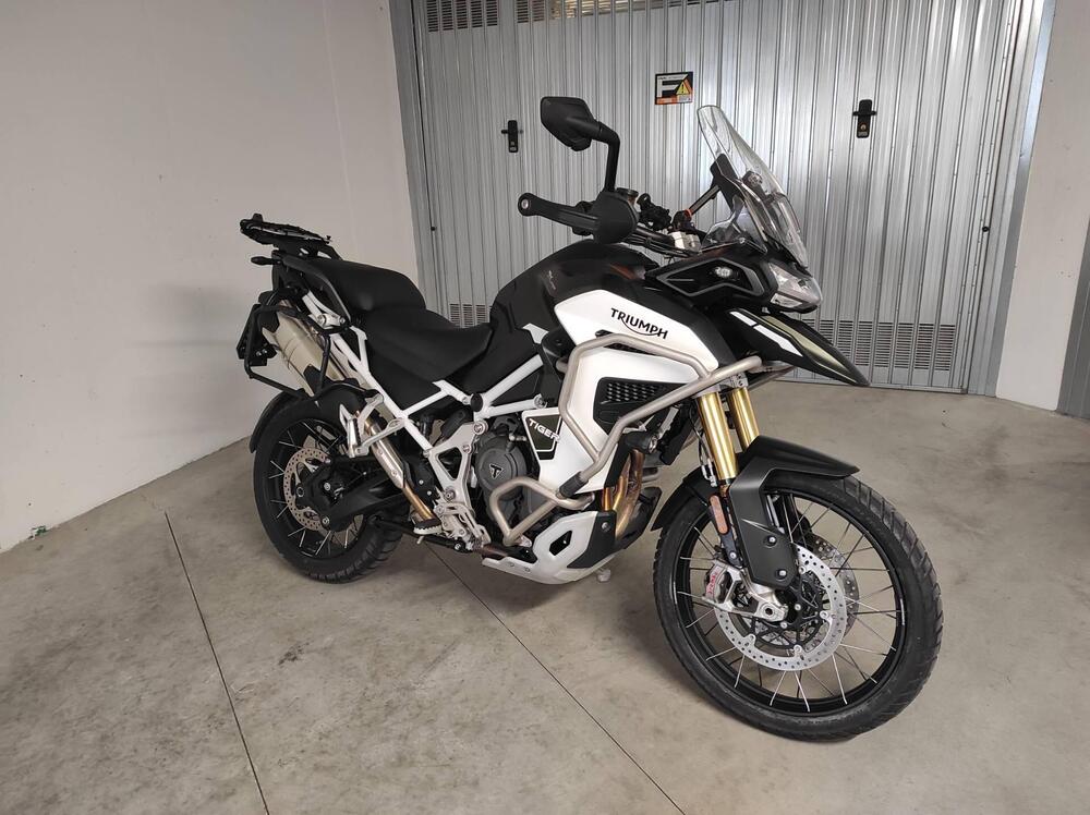 Triumph Tiger 1200 Rally Explorer (2024 - 25) (5)