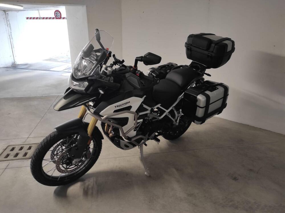 Triumph Tiger 1200 Rally Explorer (2024 - 25) (3)