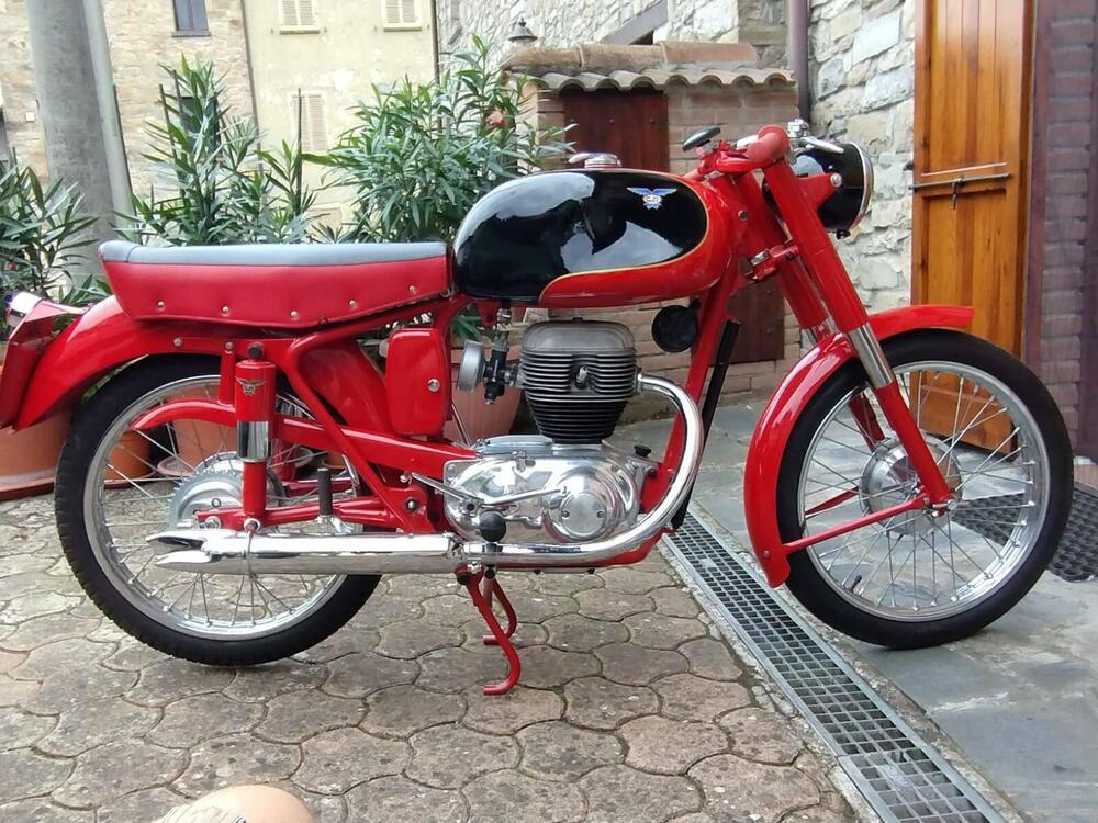 C.M. Francolino  (2)