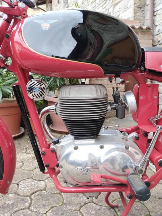 C.M. Francolino  (3)