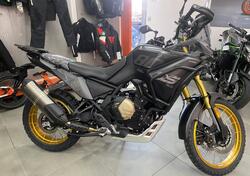 Voge Valico 800DSX Rally (2025) nuova