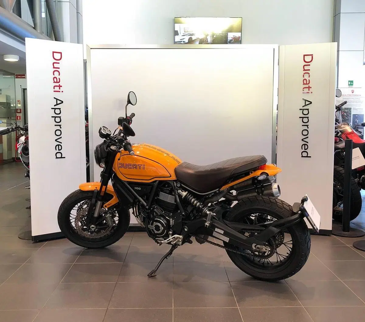 Ducati Scrambler 1100 Tribute Pro (2022 - 24) (2)