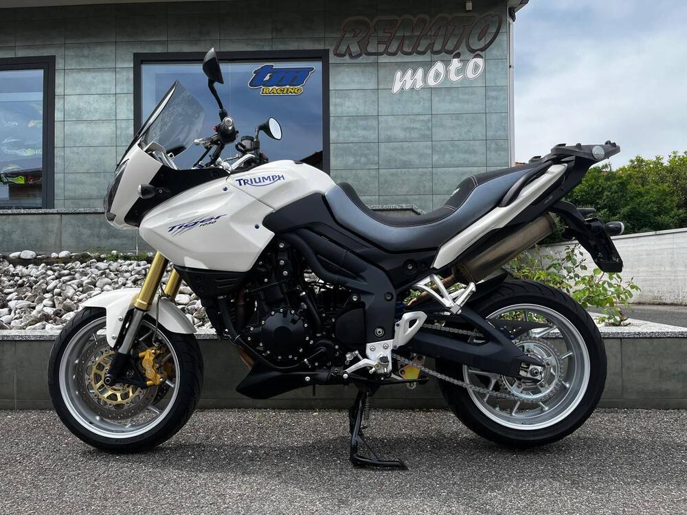 Triumph Tiger 1050 (2006 - 12) (2)