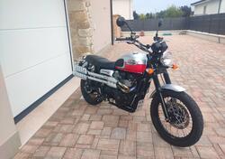 Triumph Scrambler (2006 - 17) usata