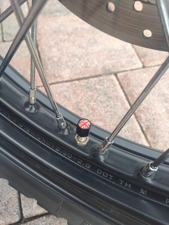 Triumph Scrambler (2006 - 17) (5)