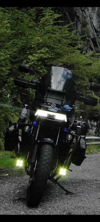 Harley-Davidson Pan America 1250 Special (2020 - 25) (2)