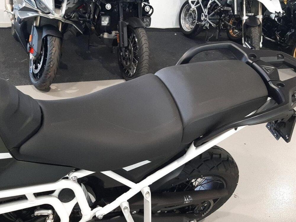 Triumph Tiger 900 Rally Pro (2024 - 25) (5)