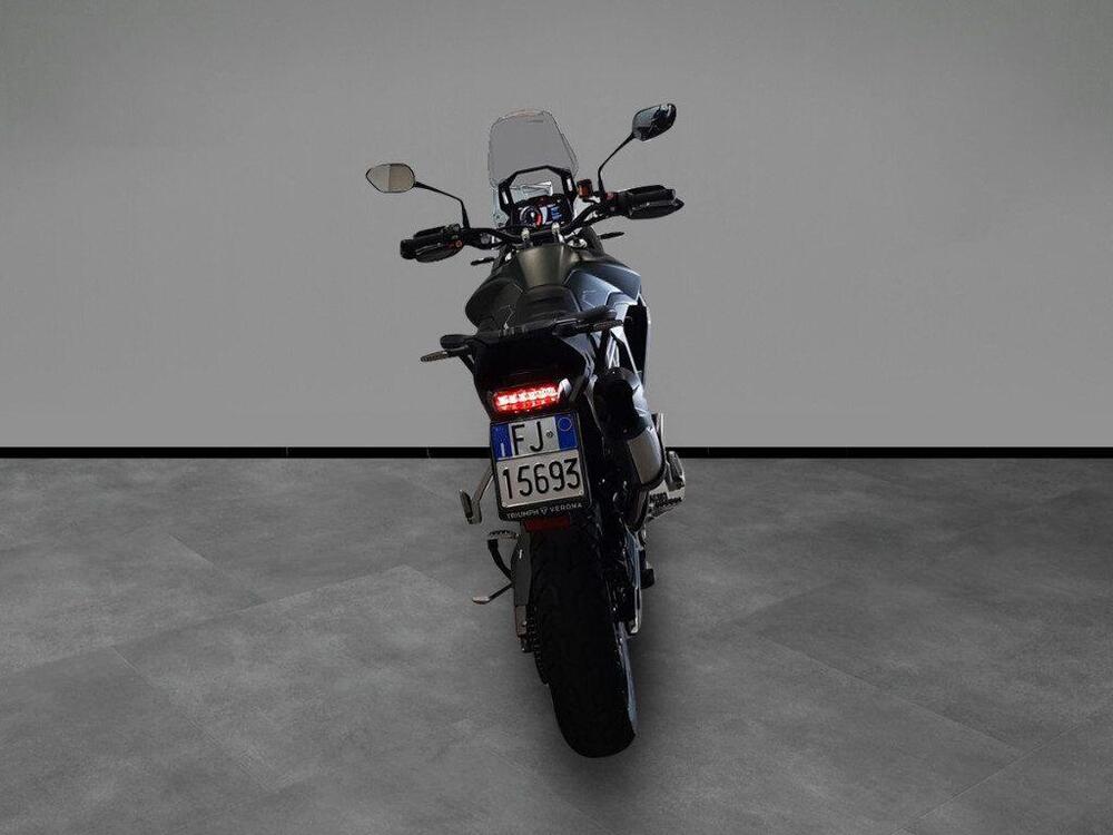 Triumph Tiger 900 Rally Pro (2024 - 25) (4)