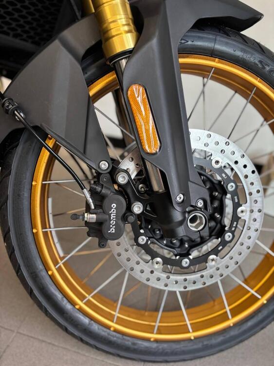 Voge Valico 900DSX (2024 - 25) (2)