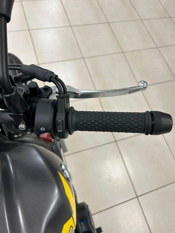 Voge Trofeo 500AC (2022 - 25) (4)