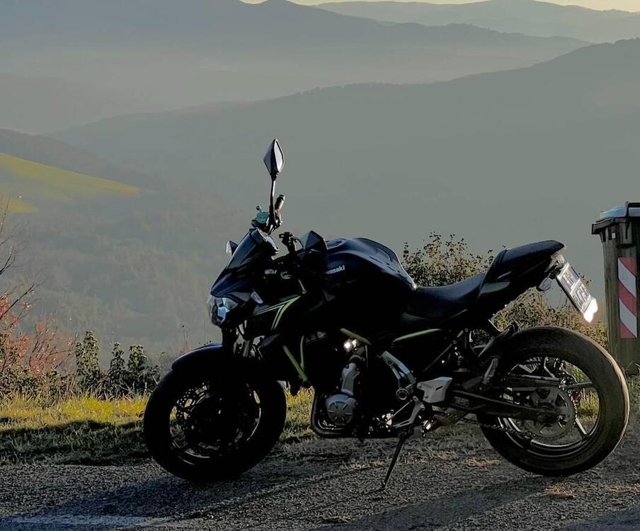 Kawasaki Z 650 (2017 - 19) (2)