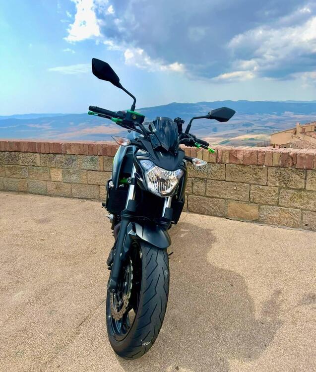 Kawasaki Z 650 (2017 - 19)