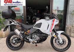 Ducati DesertX (2022 - 25) usata
