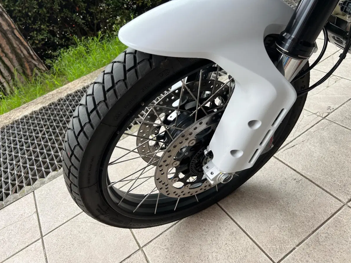 Ducati DesertX (2022 - 25) (15)