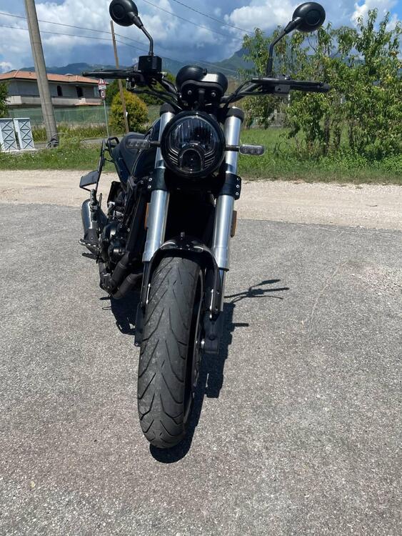 Benelli Leoncino 500 (2021 - 25) (2)
