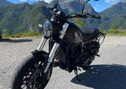 Benelli Leoncino 500 (2021 - 25) usata