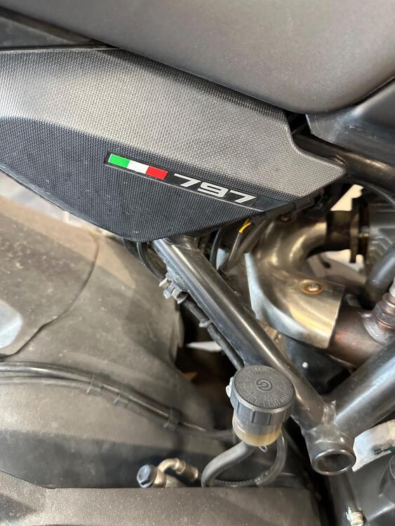 Ducati Monster 797 (2017 - 18) (2)