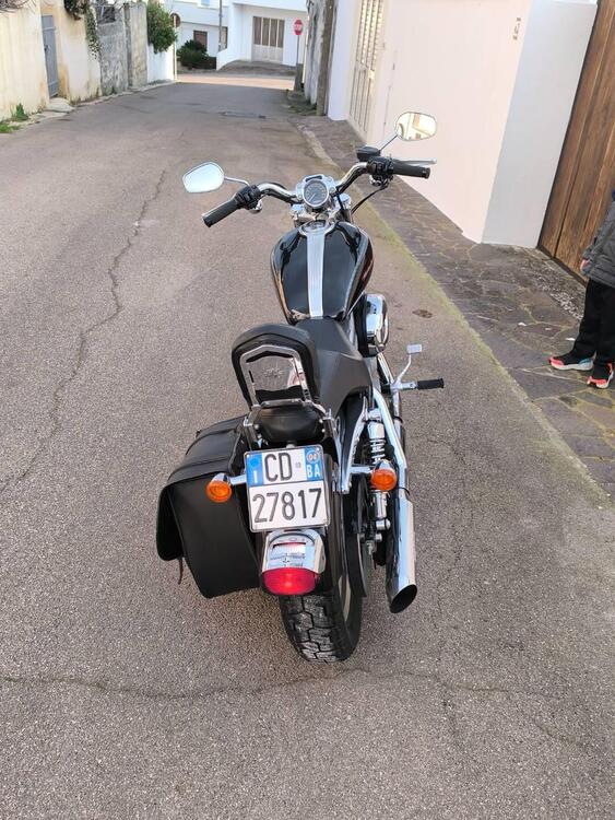 Harley-Davidson 883 Custom (2001 - 05) - XL 53C (5)