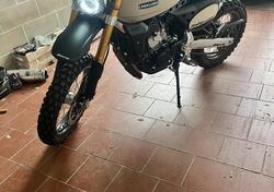 Fantic Motor Caballero 500 Rally (2021 - 23) usata