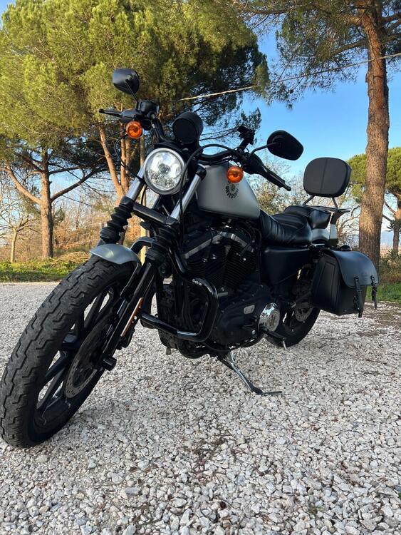 Harley-Davidson 883 Iron (2017 - 20) - XL 883N