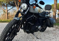 Harley-Davidson 883 Iron (2017 - 20) - XL 883N usata