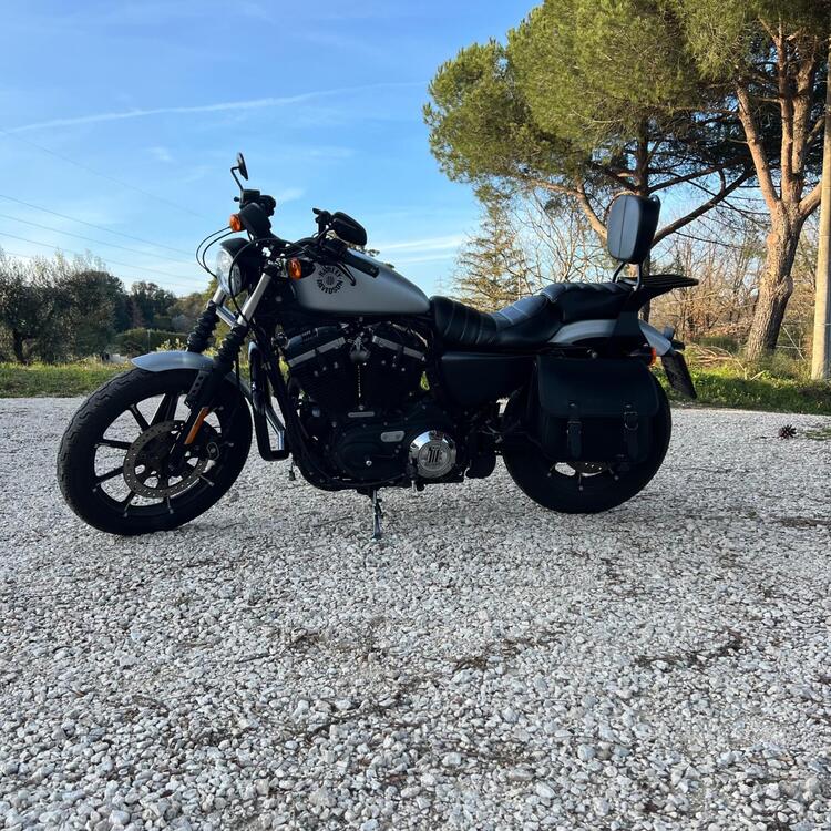 Harley-Davidson 883 Iron (2017 - 20) - XL 883N (2)