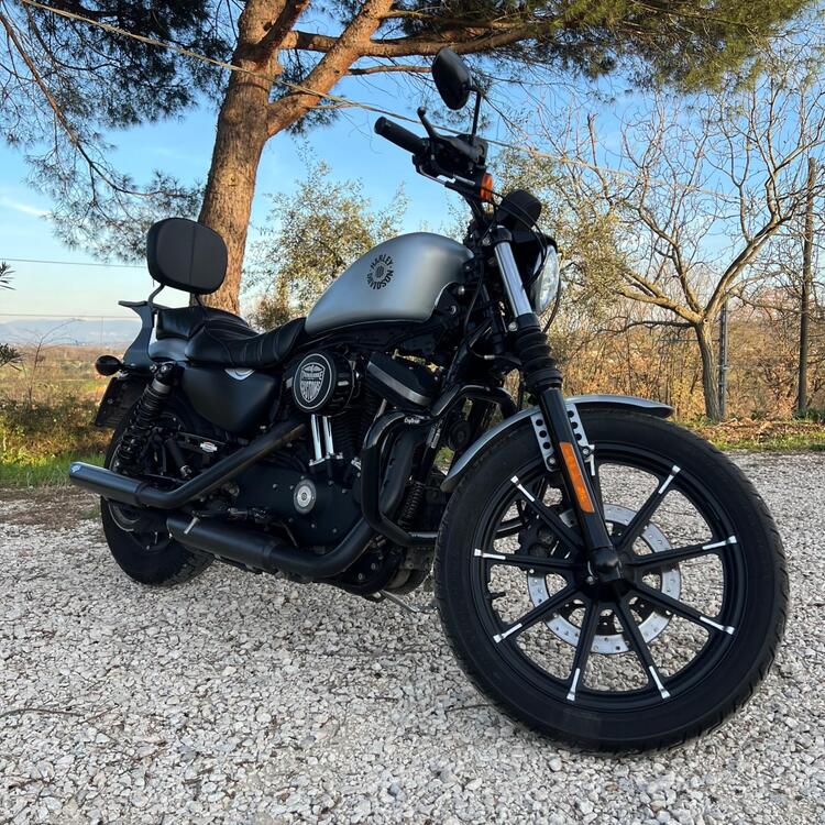 Harley-Davidson 883 Iron (2017 - 20) - XL 883N (4)