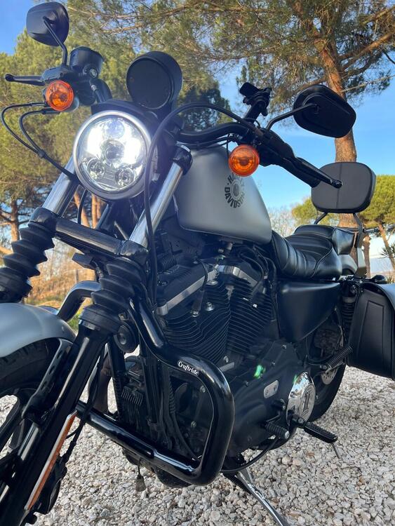 Harley-Davidson 883 Iron (2017 - 20) - XL 883N (5)
