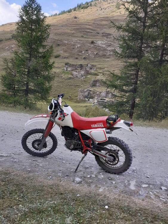 Yamaha TT 600 (1985 - 93) (2)