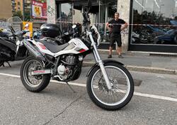 Betamotor Alp 4.0 (2008 - 17) usata