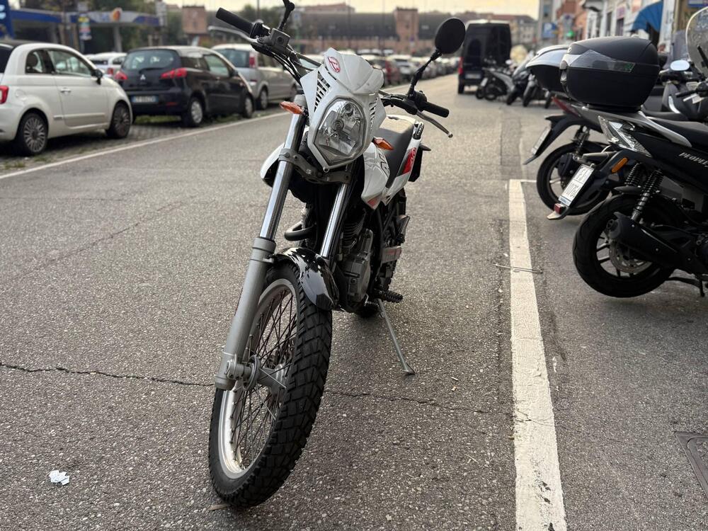 Betamotor Alp 4.0 (2008 - 17) (3)