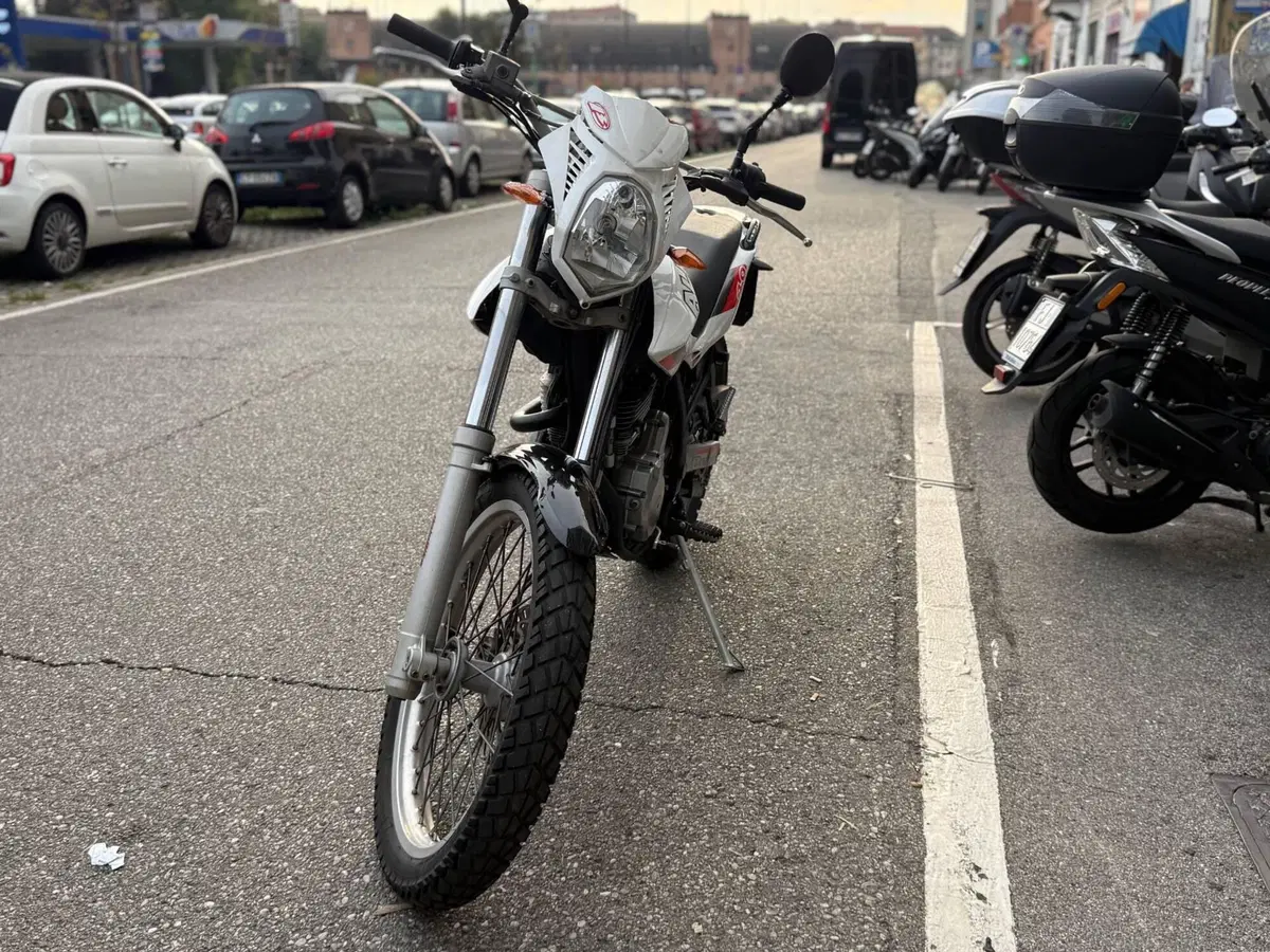Betamotor Alp 4.0 (2008 - 17) (3)