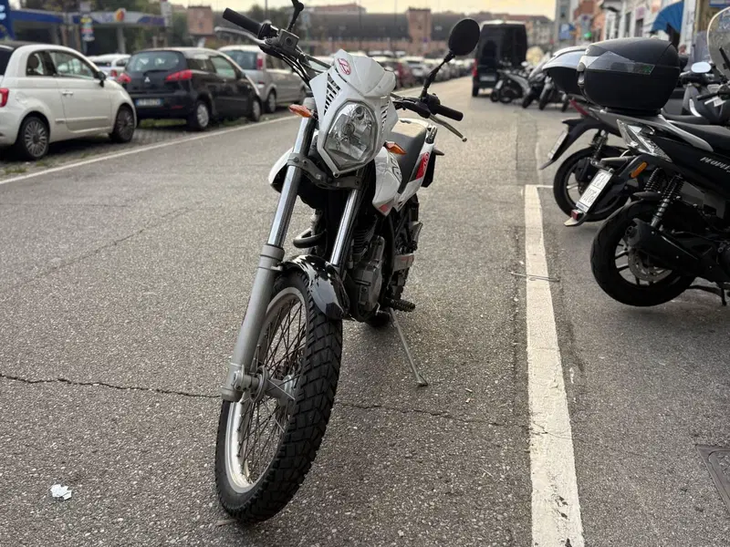 Betamotor Alp 4.0 (2008 - 17) (3)