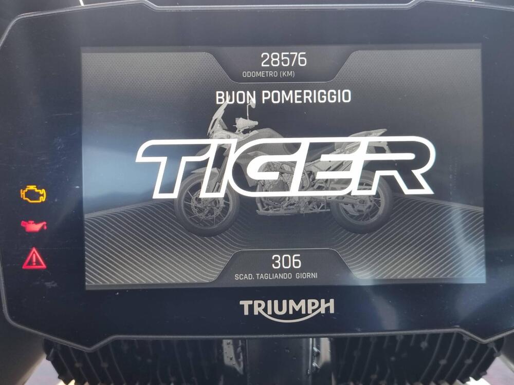 Triumph Tiger 900 Rally Pro (2020 - 23) (4)