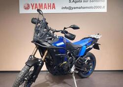 Yamaha Ténéré 700 World Raid (2022 - 25) usata