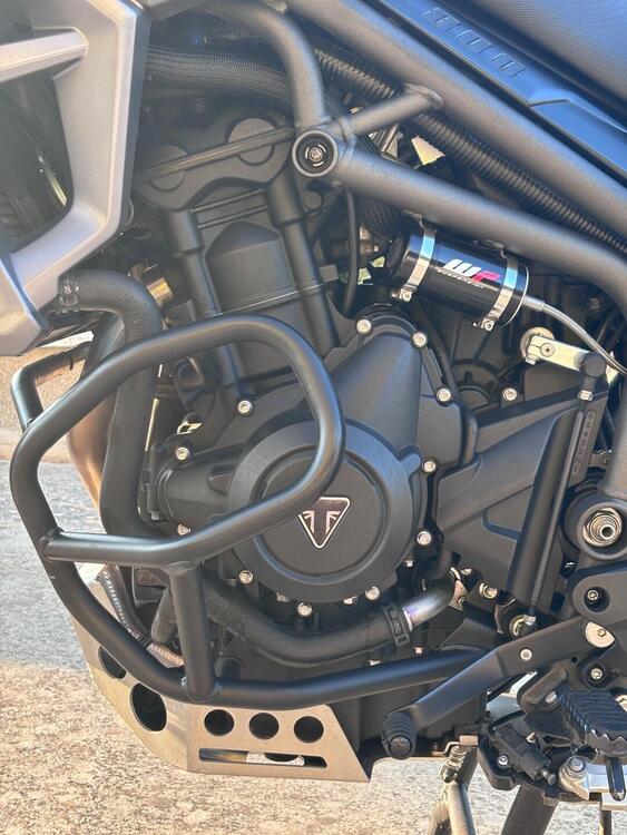 Triumph Tiger 800 XCx (2015 - 17) (4)