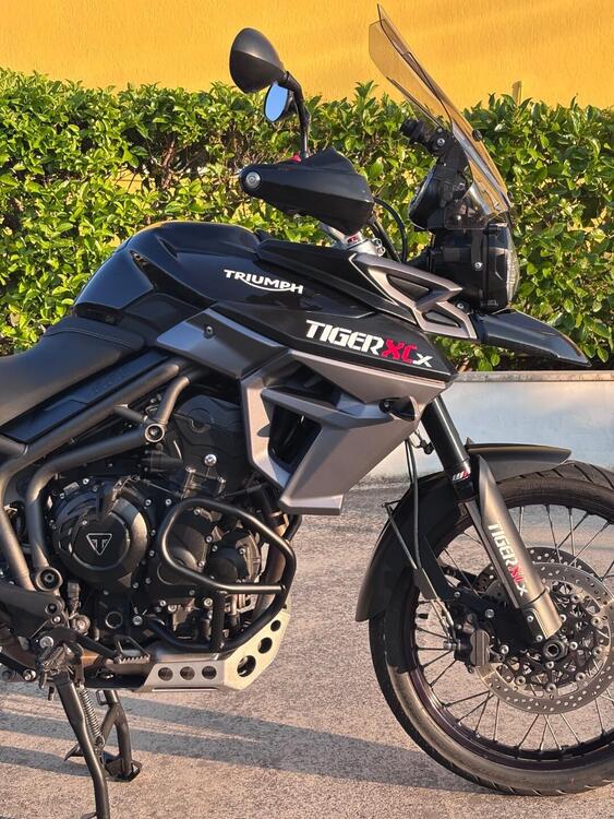Triumph Tiger 800 XCx (2015 - 17) (5)