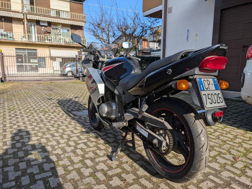 Suzuki GS 500 F (2004 - 06)