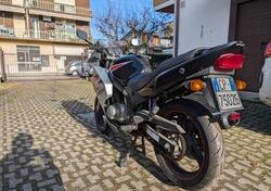 Suzuki GS 500 F (2004 - 06) usata