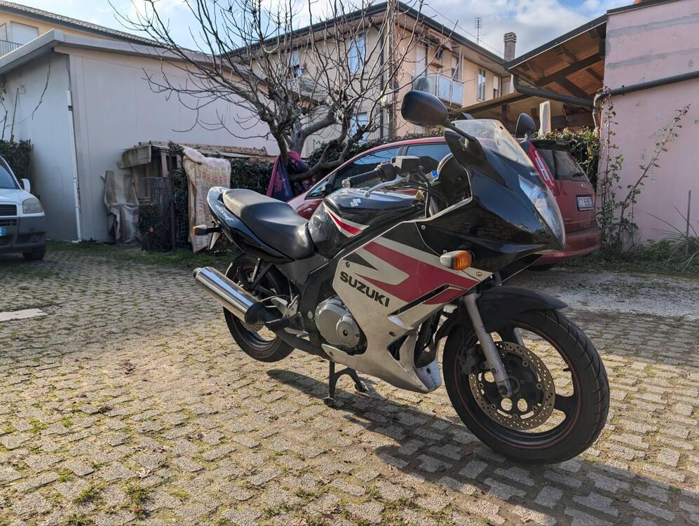 Suzuki GS 500 F (2004 - 06) (3)