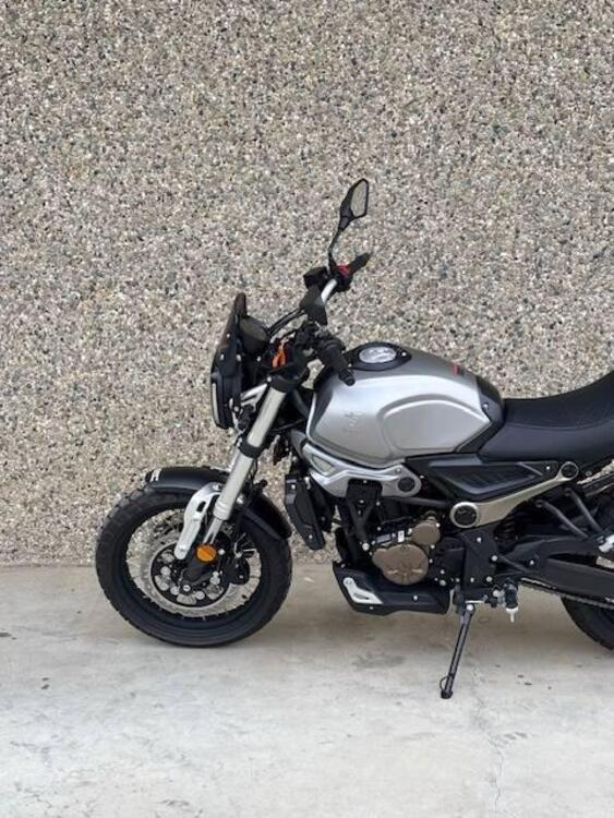 Voge Trofeo 300ACX Scrambler (2021 - 25) (3)