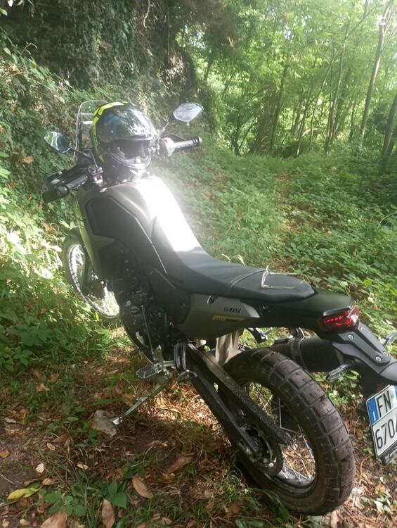 Yamaha Ténéré 700 (2025) (2)