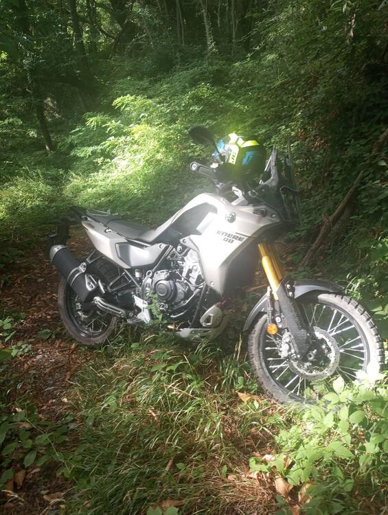 Yamaha Ténéré 700 (2025) (3)