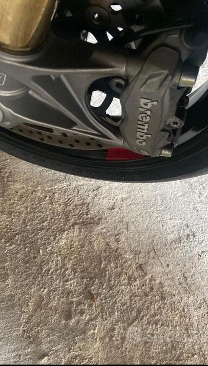 Ducati SuperSport 950 (2021 - 24) (5)