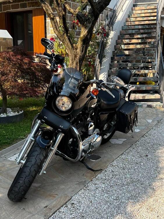 Harley-Davidson 1200 Custom (2017) - XL 1200C (3)