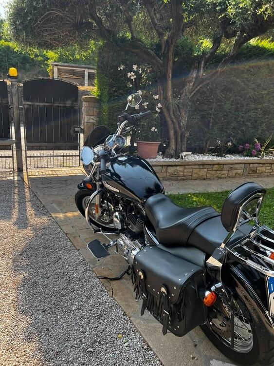 Harley-Davidson 1200 Custom (2017) - XL 1200C (5)