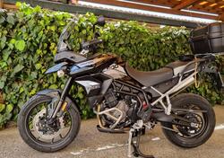 Triumph Tiger 900 GT Pro (2020 - 23) usata